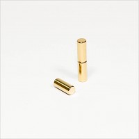 D5x12mm - N42 NdFeB Stab Magnet - Gold