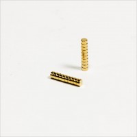 D2x1mm - N42 NdFeB Scheiben Magnet - Gold